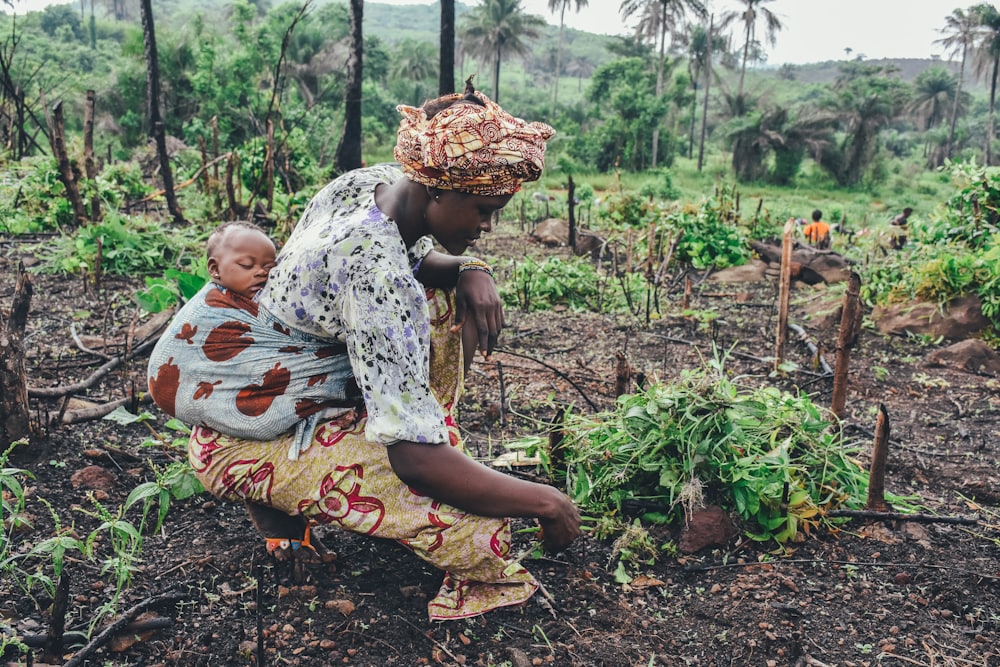 AI for Agricultural Transformation in Sub-Saharan Africa